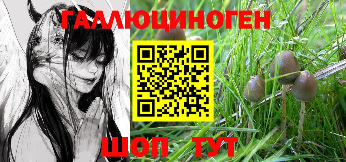 Железноводск  Псилоцибиновые грибы GOLDEN TEACHER  Псилоцибиновые грибы Magic Shrooms  Вход с VPN 